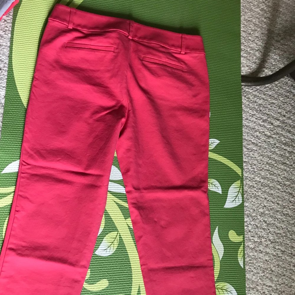 Loft Riviera pants 8 petite Rosy Apple